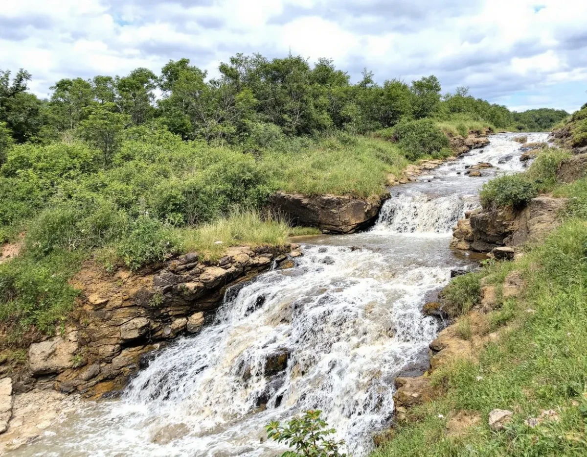 Protection juridique des espèces d'eau douce en voie de disparition