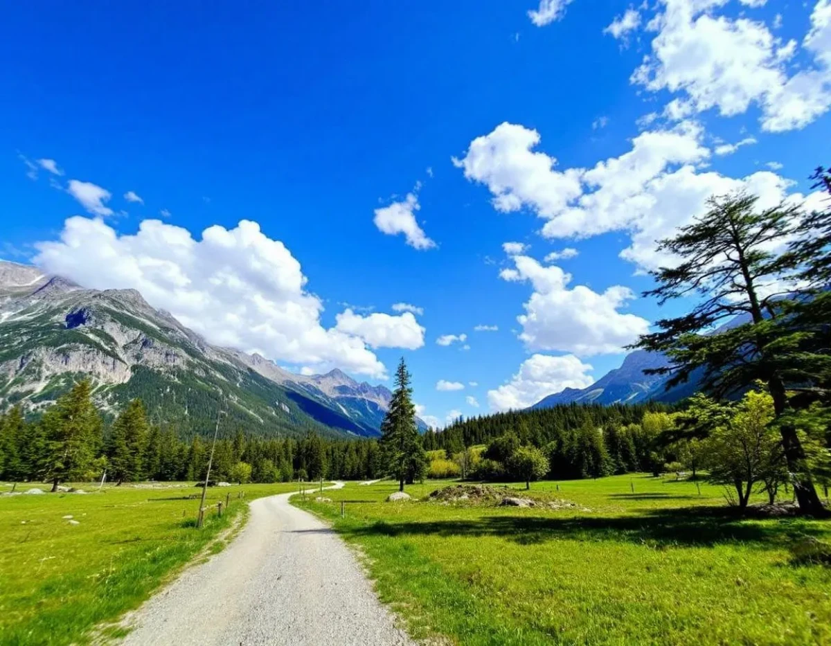 L'émergence des droits de la nature en droit international : vers un nouveau paradigme juridique